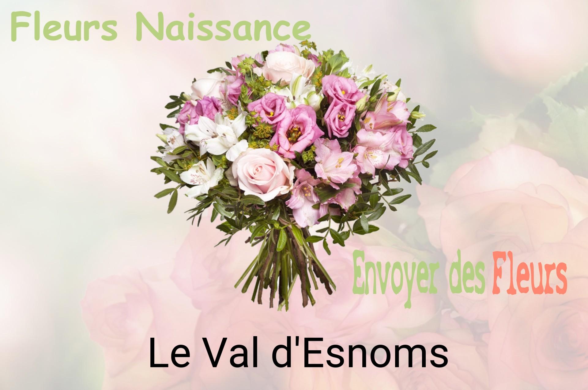 Bouquet de fleurs de naissance livré à Le Val-d'Esnoms